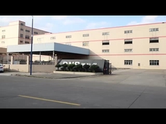 22 anni di fabbrica Bopp Fabrica di nastro adesivo personalizzato